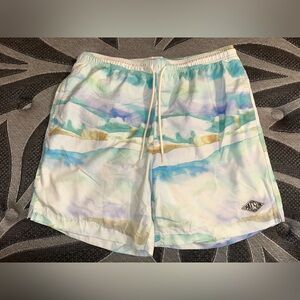 Men’s Pacsun Swim Shorts